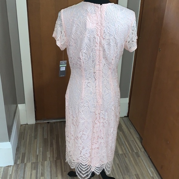 Sharagano light pink short sleeve lace midi dress - Picture 5 of 5